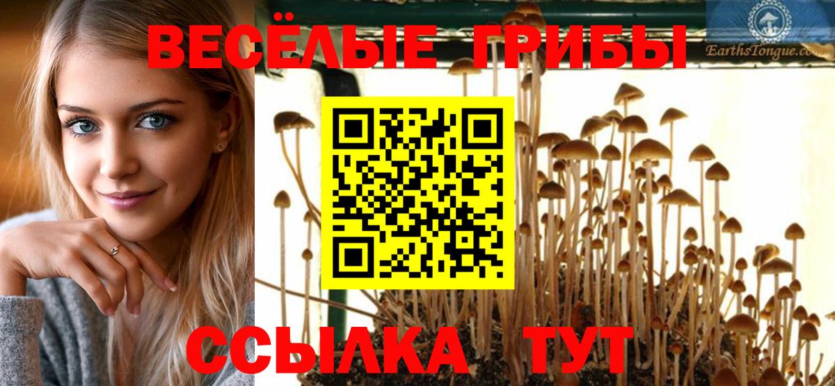 Галлюциногенные грибы GOLDEN TEACHER Магадан