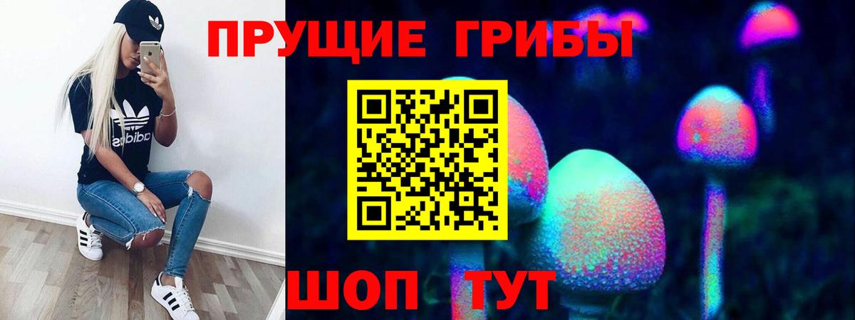Галлюциногенные грибы ЛСД  Вход с VPN  Магадан  Галлюциногенные грибы MAGIC MUSHROOMS 